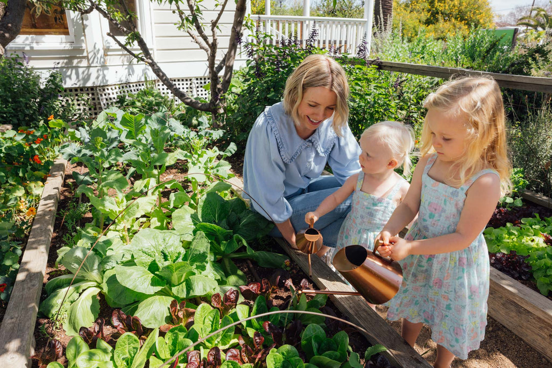 How to Compost a Dead Plant