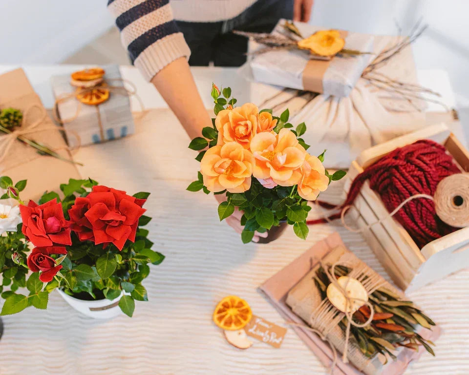 Best Plant Gifts to Send for Any Occasion