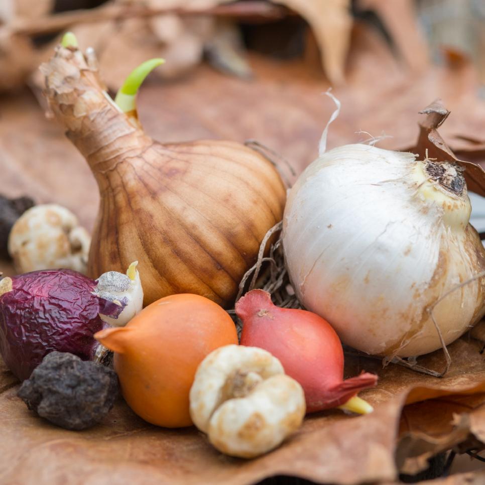 What size bulb should I purchase?