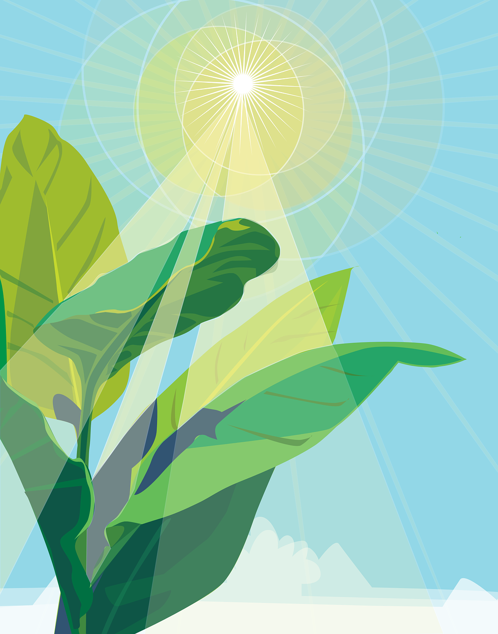 Plant 101: All the Things Light Does for your Indoor Plant