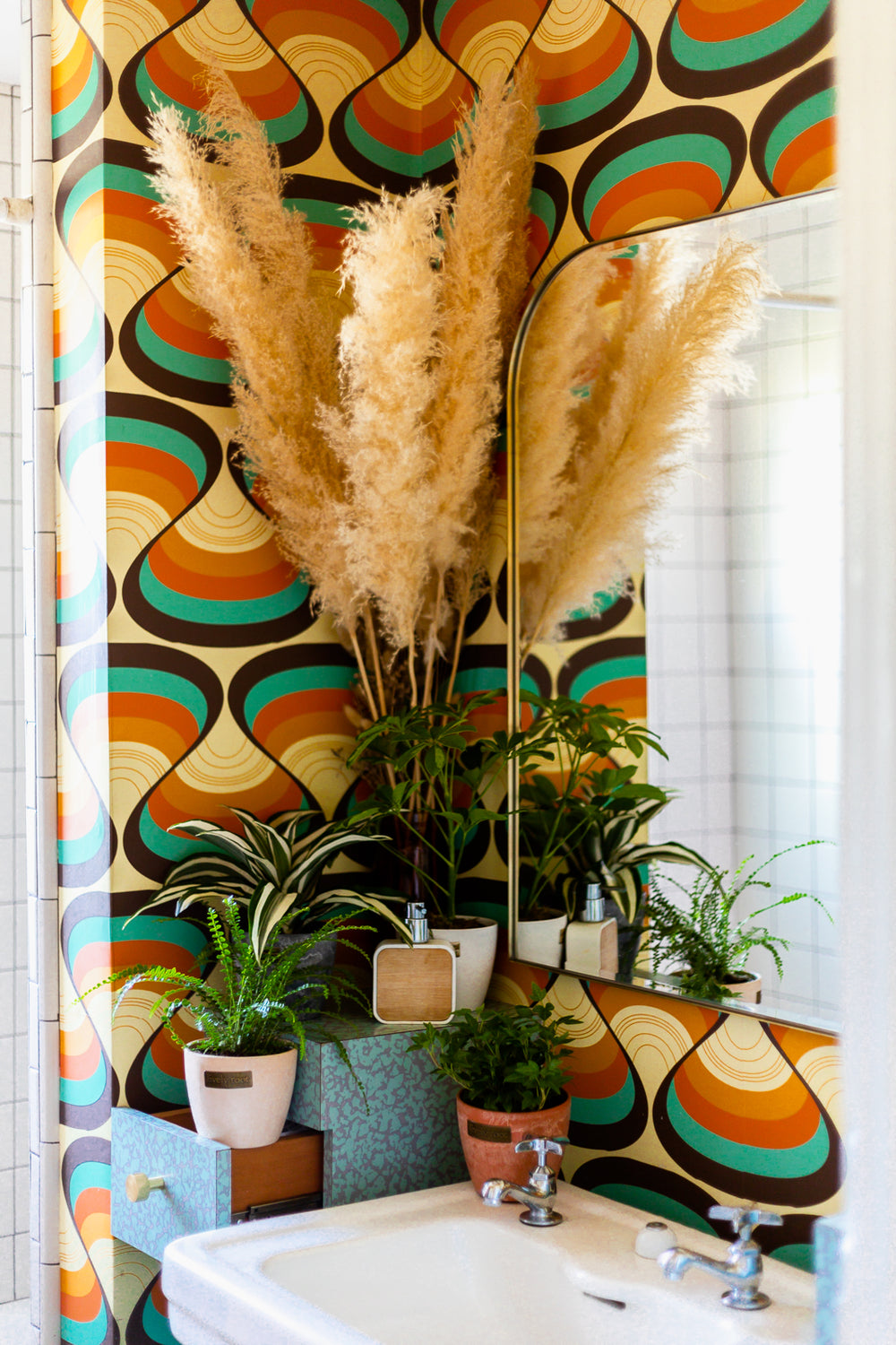 Indirect Light Plants