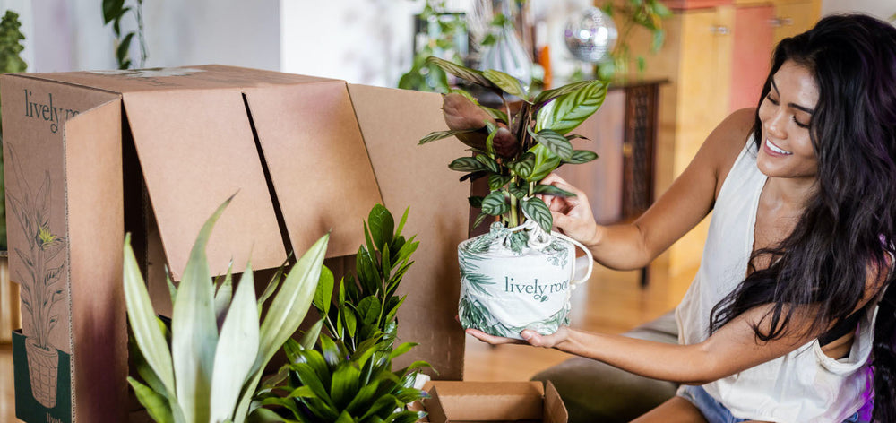 Oakland Plant Delivery