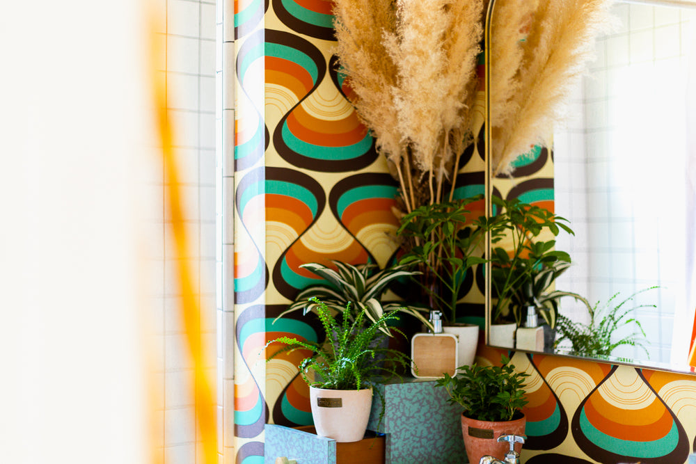 Best Plants for Bathroom