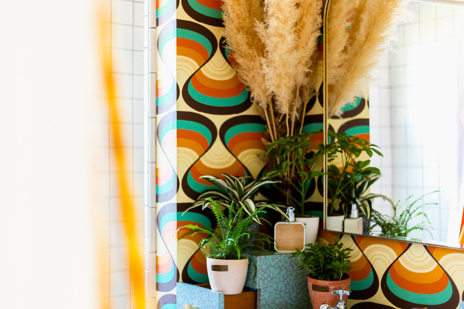 Best Plants for Bathroom