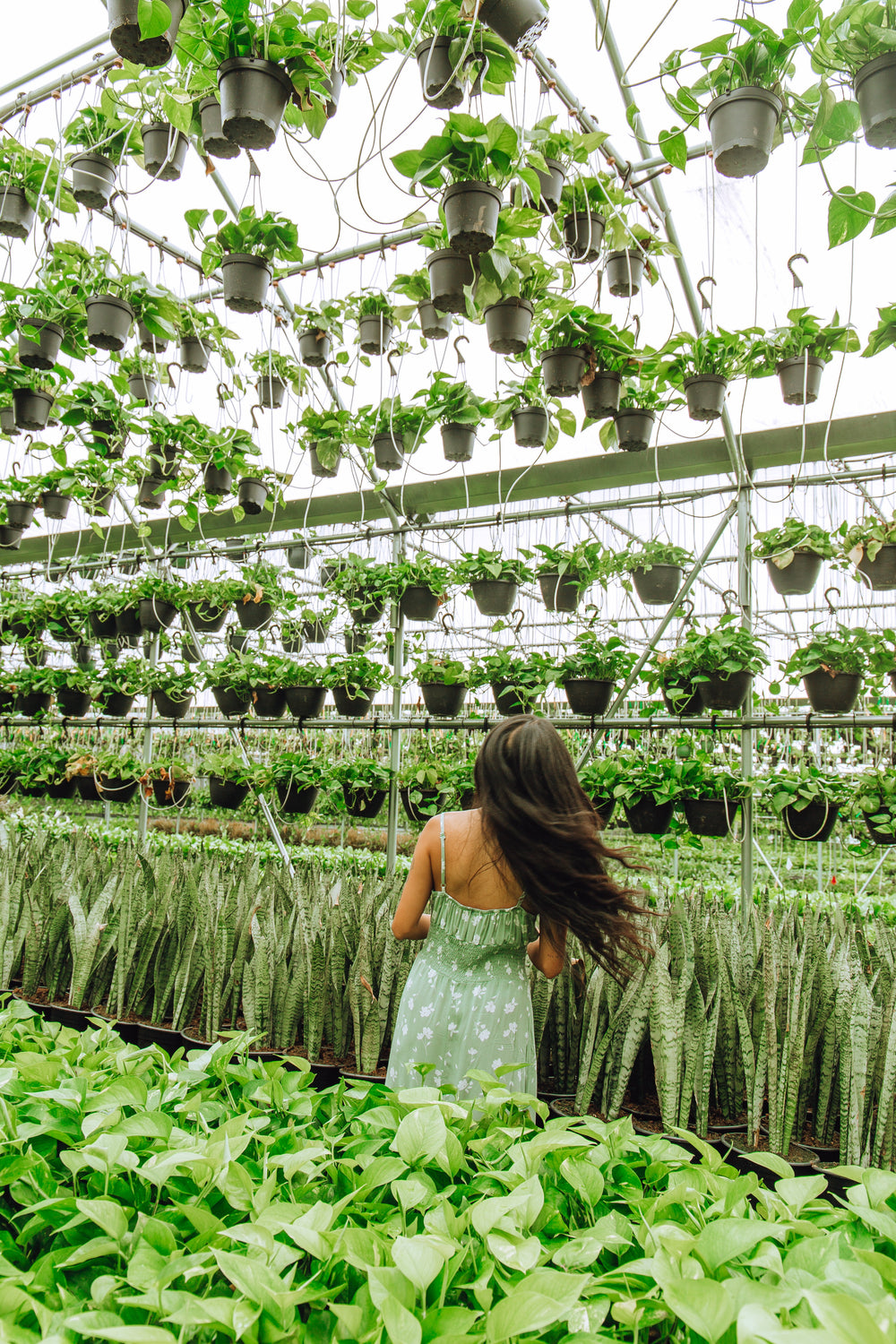 This Month's Nursery Picks