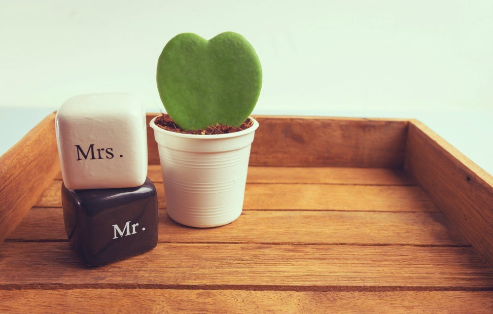 Wedding Plant Gifts