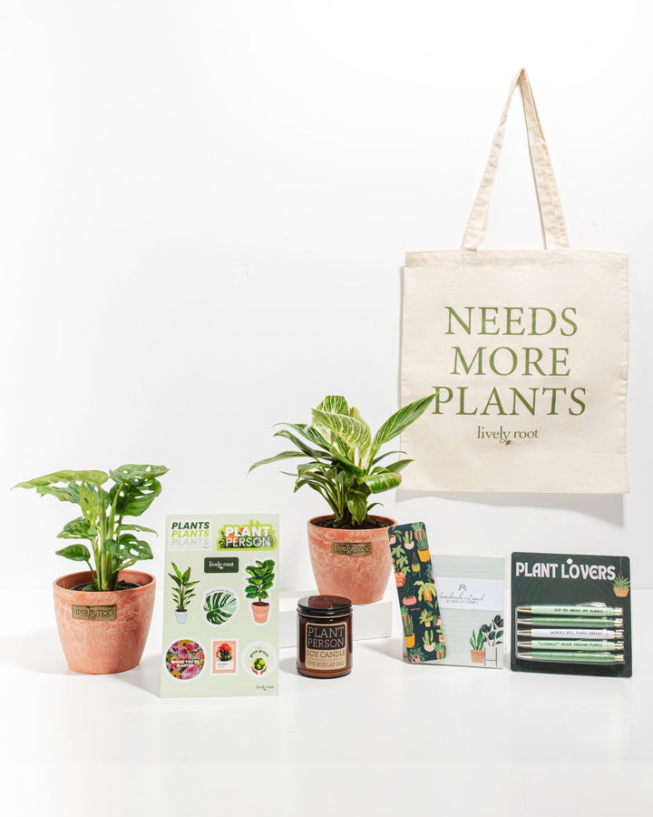 Ultimate Care Package: Unique Plants