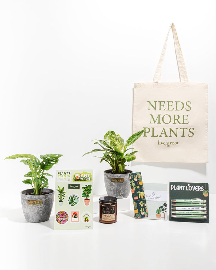 Ultimate Care Package: Unique Plants