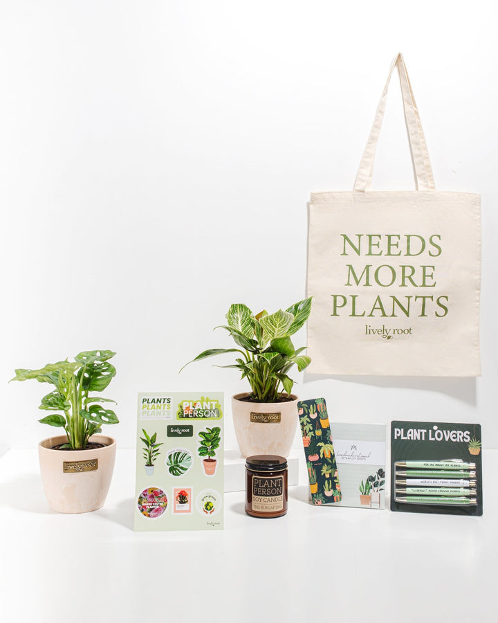 Ultimate Care Package: Unique Plants