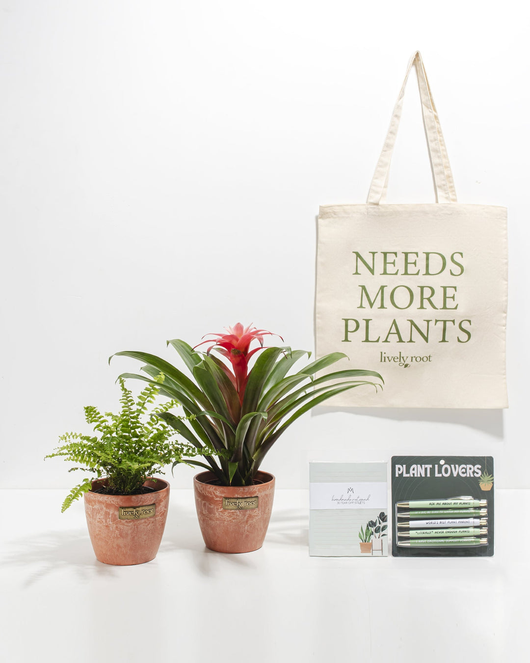 Study Buddy Care Package: Pet Friendly Plants