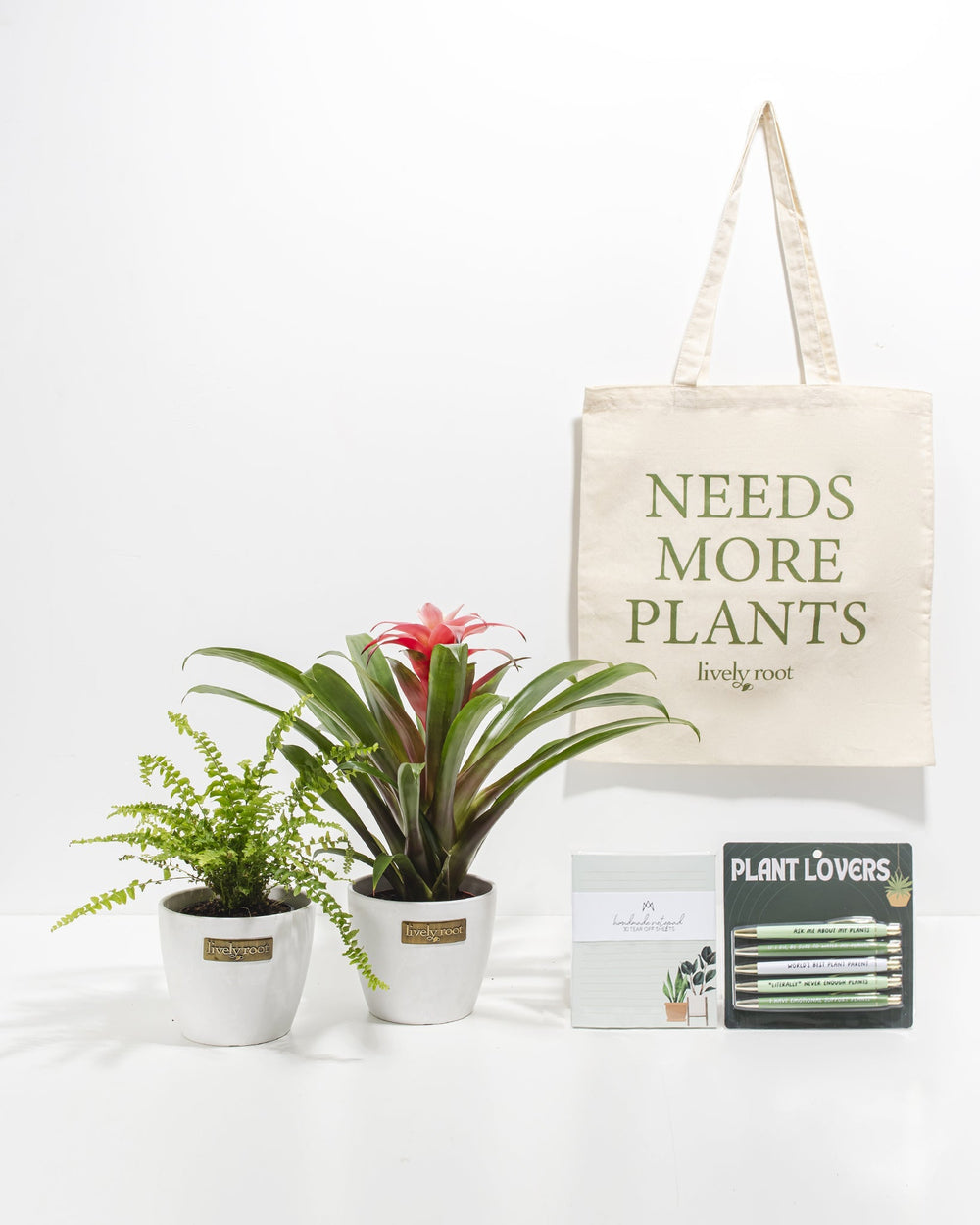 Study Buddy Care Package: Pet Friendly Plants