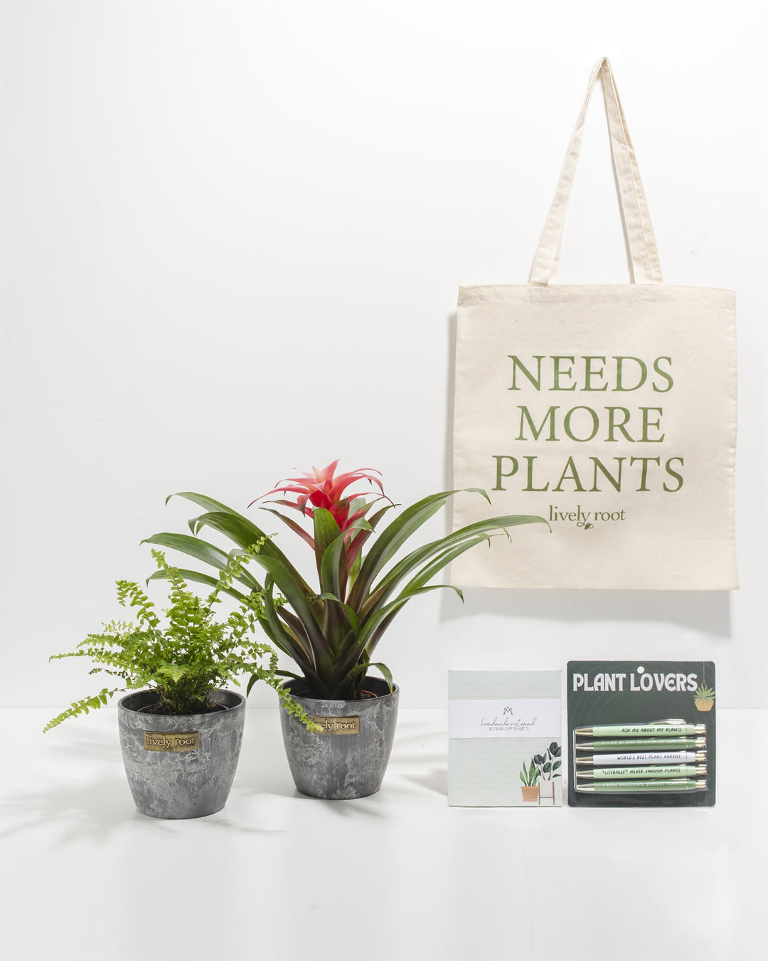 Study Buddy Care Package: Pet Friendly Plants