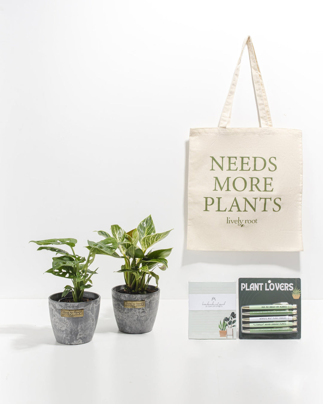 Study Buddy Care Package: Unique Plants