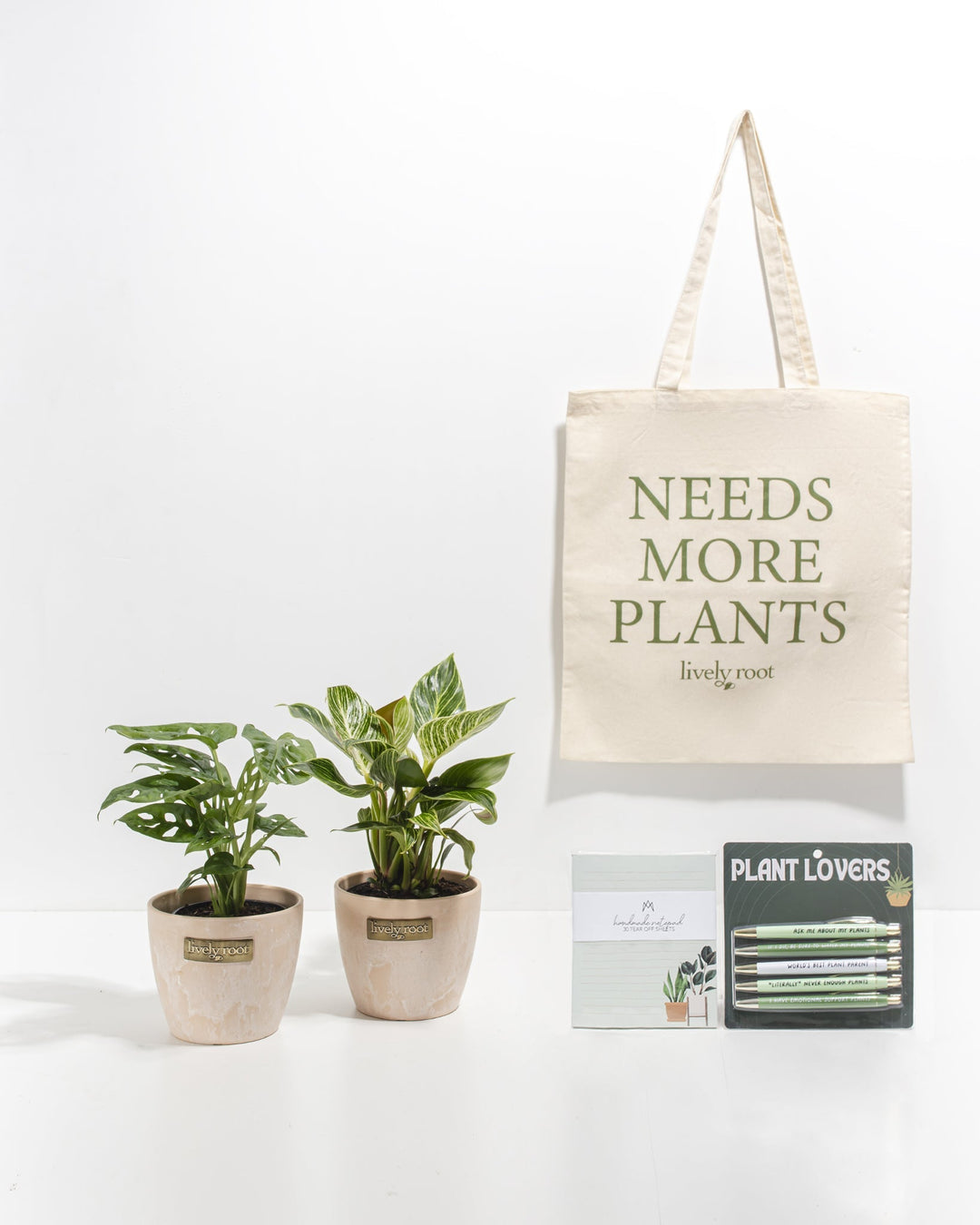 Study Buddy Care Package: Unique Plants
