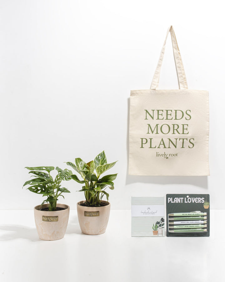 Study Buddy Care Package: Unique Plants