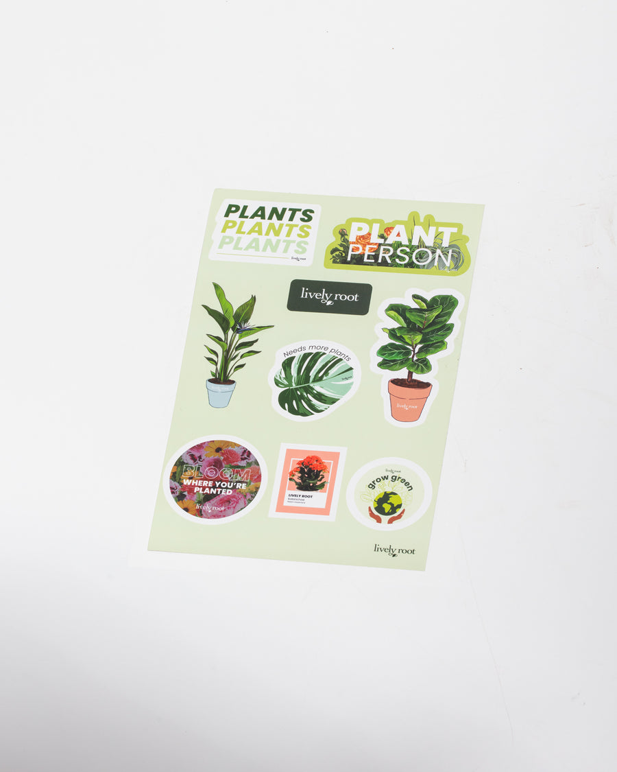 Comprehensive plant sticker collection sheet showcasing botanical designs, houseplant graphics, plant-themed messages, and Lively Root branding on cream-colored backing, decorative vinyl stickers for water bottles, laptops, and planters.
