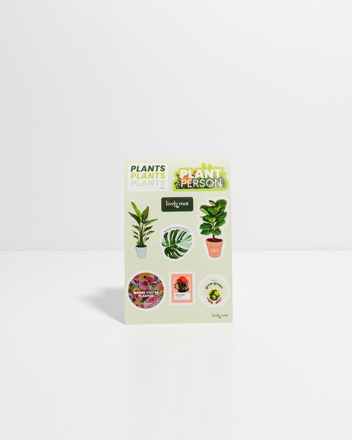 Lively Root plant sticker sheet featuring collection of decorative plant illustrations including monstera, ZZ plant, and potted houseplants with text stickers like "Bloom Where You're Planted" and "Grow Green," vinyl sticker set for plant lovers.