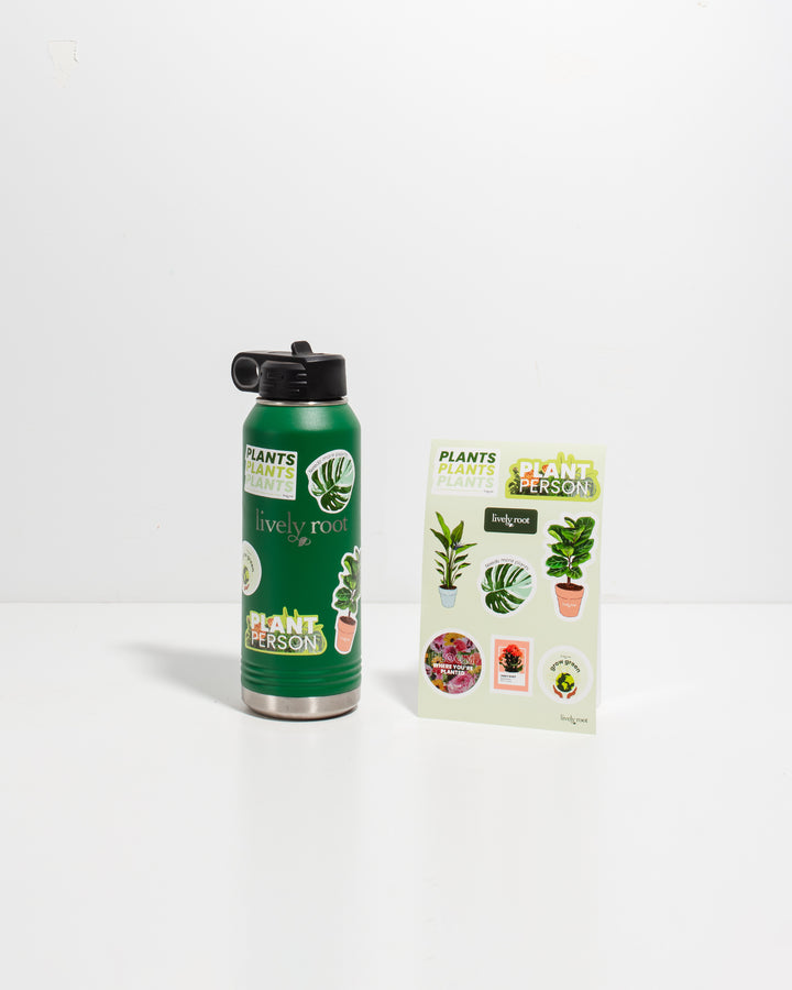 Green water bottle paired with comprehensive plant sticker sheet featuring multiple houseplant illustrations, humorous plant messages, and Lively Root branding, complete sticker collection for personalizing bottles and planters.