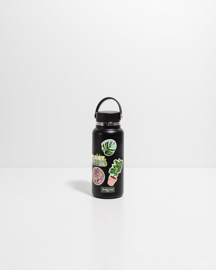 Black stainless steel water bottle with Lively Root branding and "Plant Person" graphics adorned with colorful houseplant and floral sticker designs, durable plant lover gift and sustainable beverage bottle.
