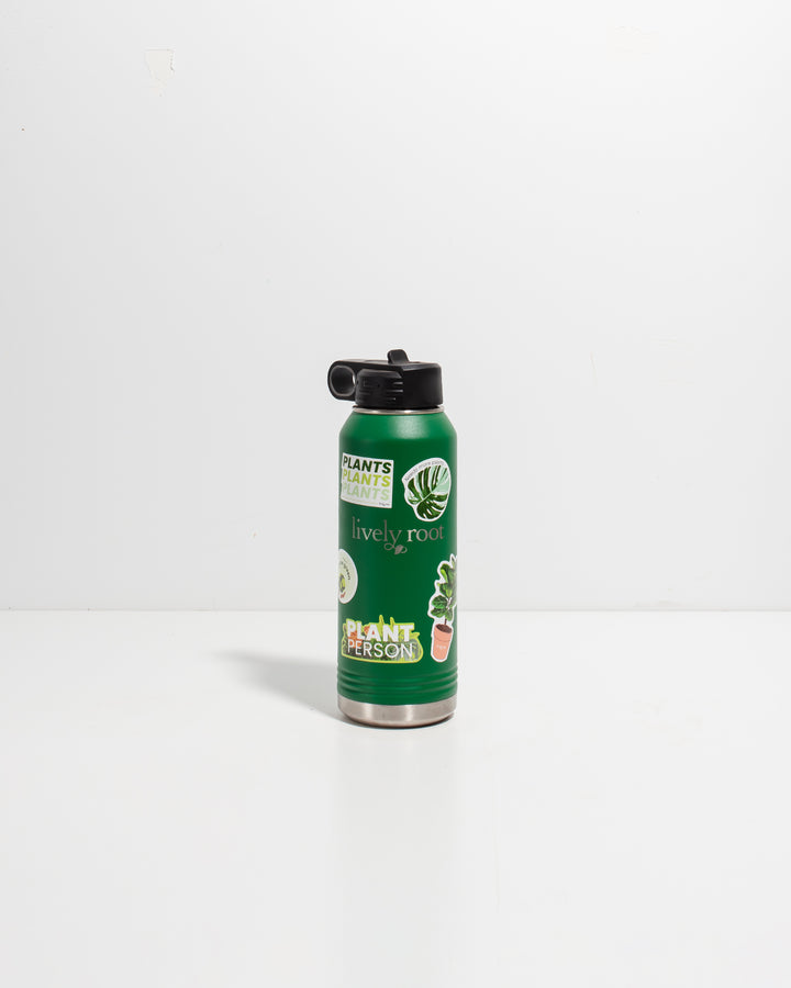 Lively Root green insulated water bottle featuring "Plant Person" text and decorative plant stickers including monstera leaf and potted plant designs, perfect for plant-loving hydration and eco-friendly drinkware.