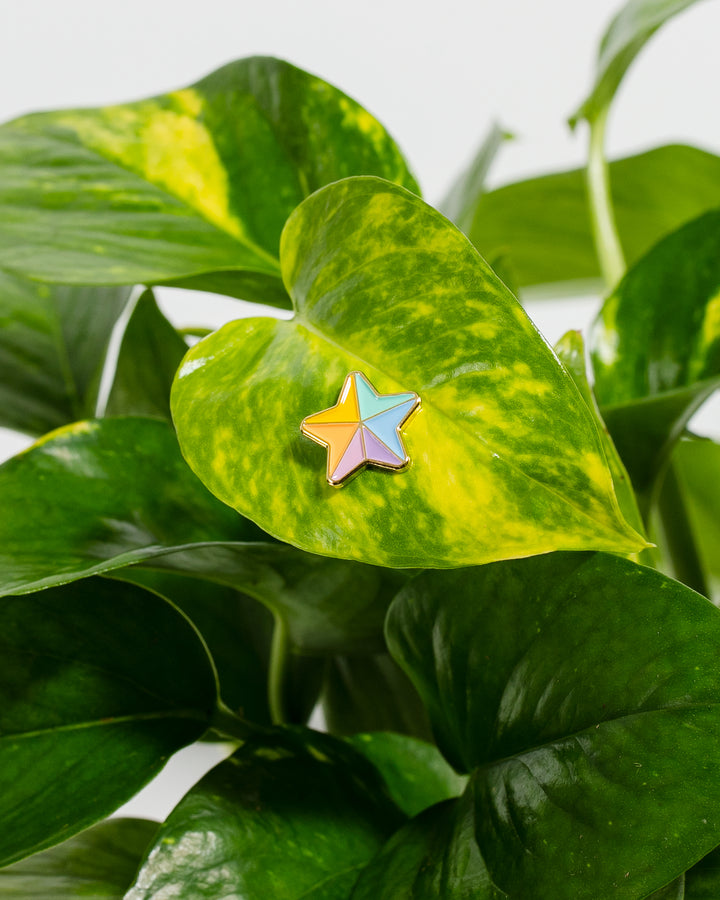 Pride Plant Magnets