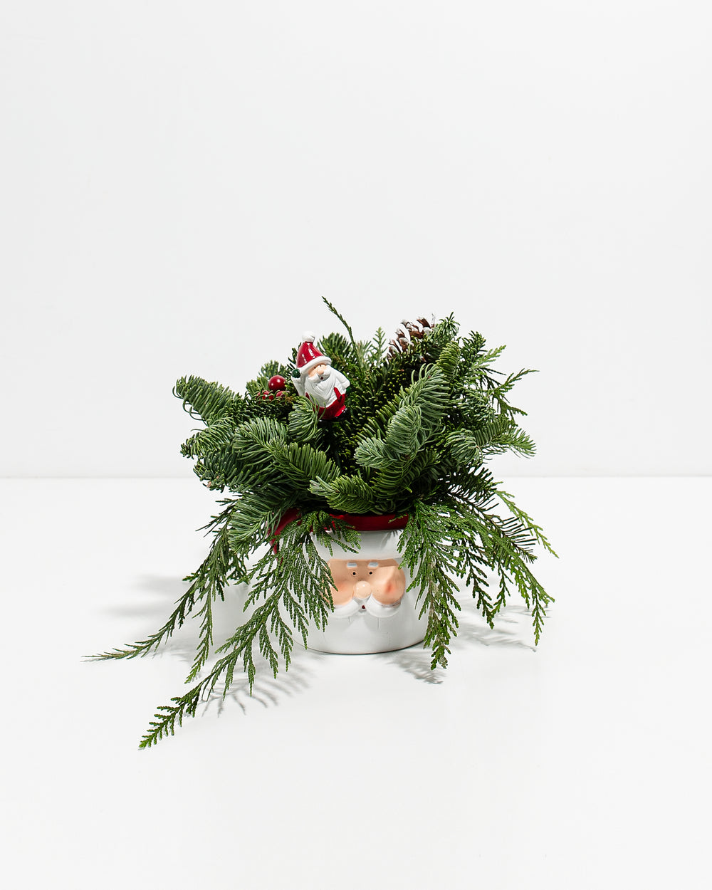 Santa Centerpiece