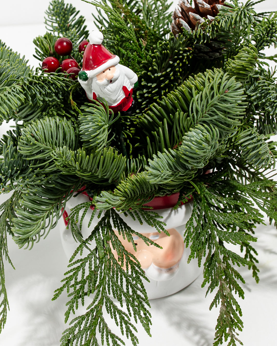Santa Centerpiece