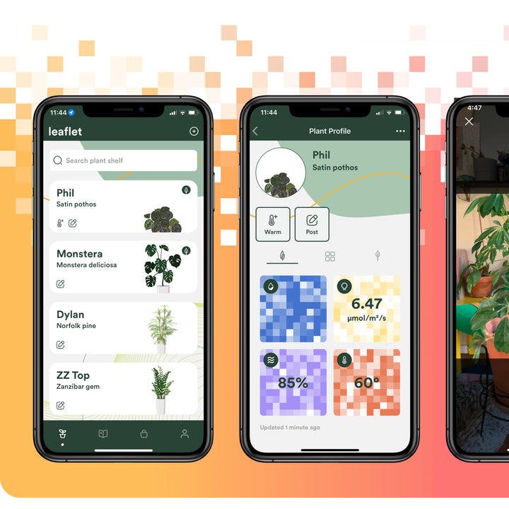 Leaflet Plant Monitor app screenshot showing plant shelf dashboard and individual plant profile with soil moisture light humidity and temperature sensor readings displayed on three smartphones against a colorful pixel-pattern orange and red background