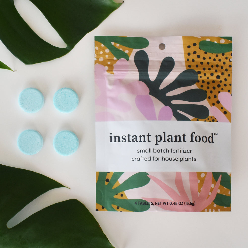 Four light blue fertilizer tablets next to a pouch of Instant Plant Food houseplant fertilizer.
