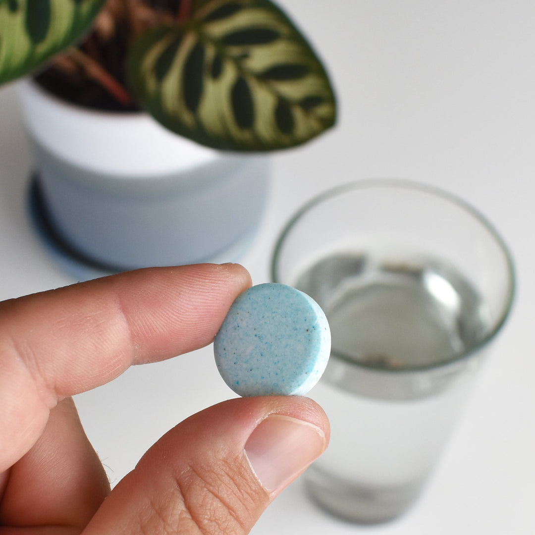 Close-up of a hand holding one blue speckled Instant Plant Protection tablet above a glass of water, with a houseplant in the background