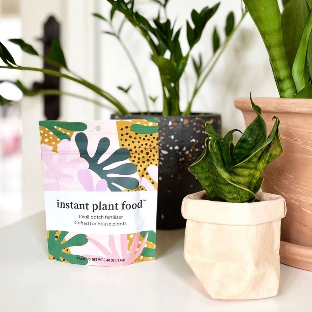 Instant Plant Food houseplant fertilizer pouch standing on a table next to potted indoor plants.