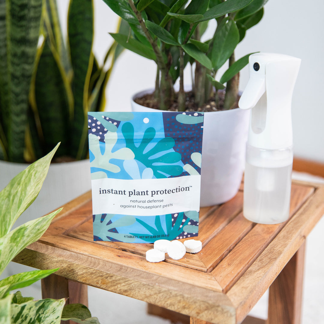 Instant Plant Protection natural pest defense tablets pouch on a wooden stand with a mist spray bottle and houseplants in the background
