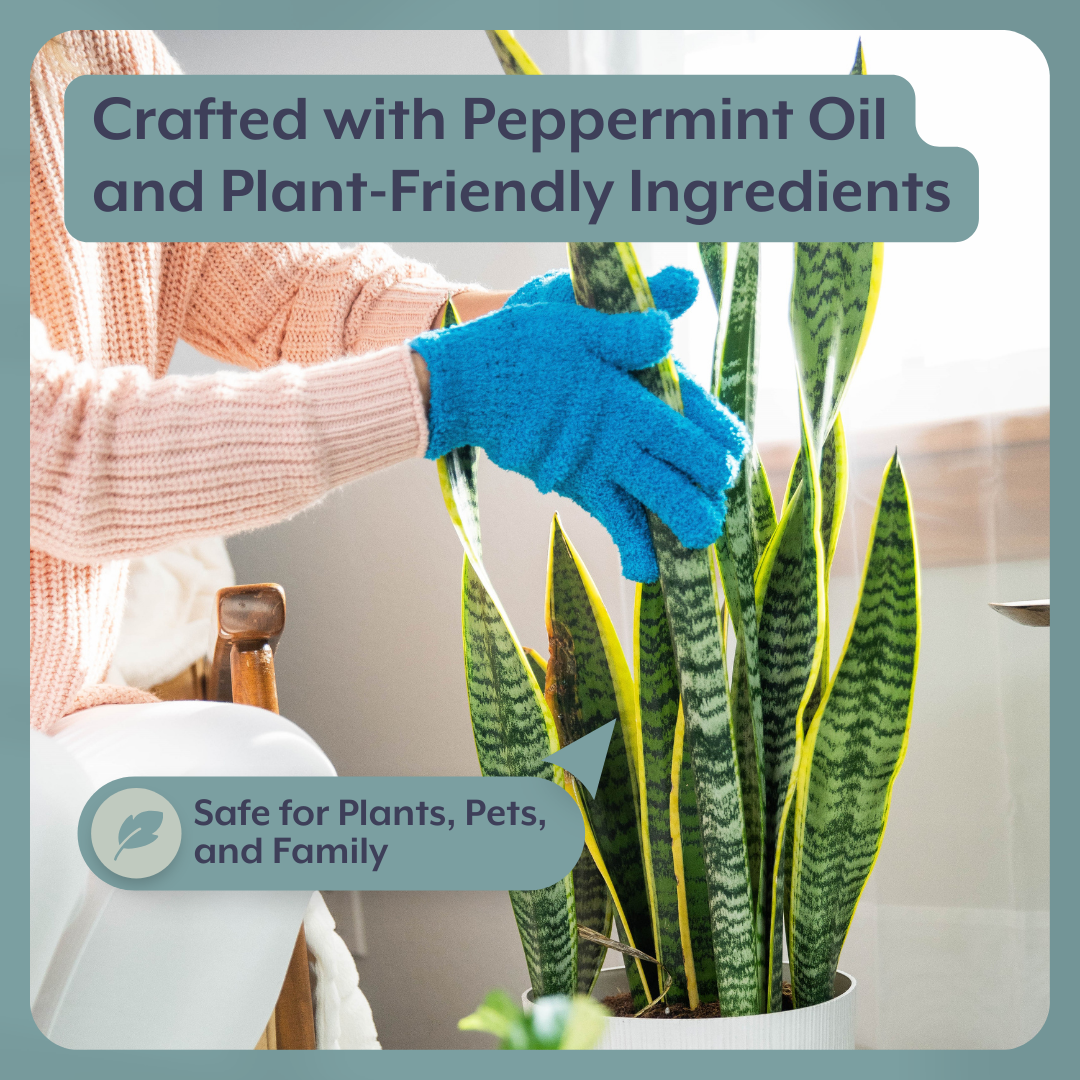The Houseplant DEFENSE Bundle