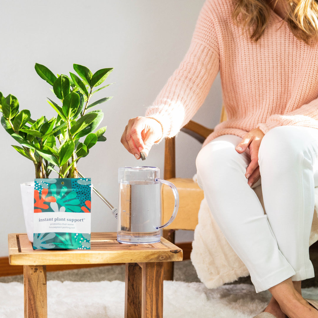 Instant Plant Support probiotic potting soil amendment packet with vibrant botanical design displayed beside healthy ZZ plant, person opening package to revive houseplant soil with beneficial microbes for thriving indoor plants.