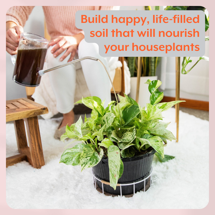 The Complete Plant Care Bundle lifestyle graphic featuring a person watering a variegated pothos houseplant with mixed liquid nutrients from a clear pitcher with a metal spout, over text that reads, "Build happy, life-filled soil that will nourish your houseplants."