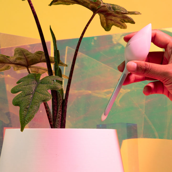 Leaflet Plant Monitor blush pink teardrop soil sensor held by hand above a white ceramic pot with dark-stemmed philodendron and lobed green foliage against an iridescent yellow and teal background