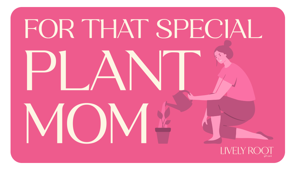 "For That Special Plant Mom" gift card with pink design showing illustrated woman watering houseplant, personalized Lively Root gift for plant enthusiast mothers and plant lover gifts.