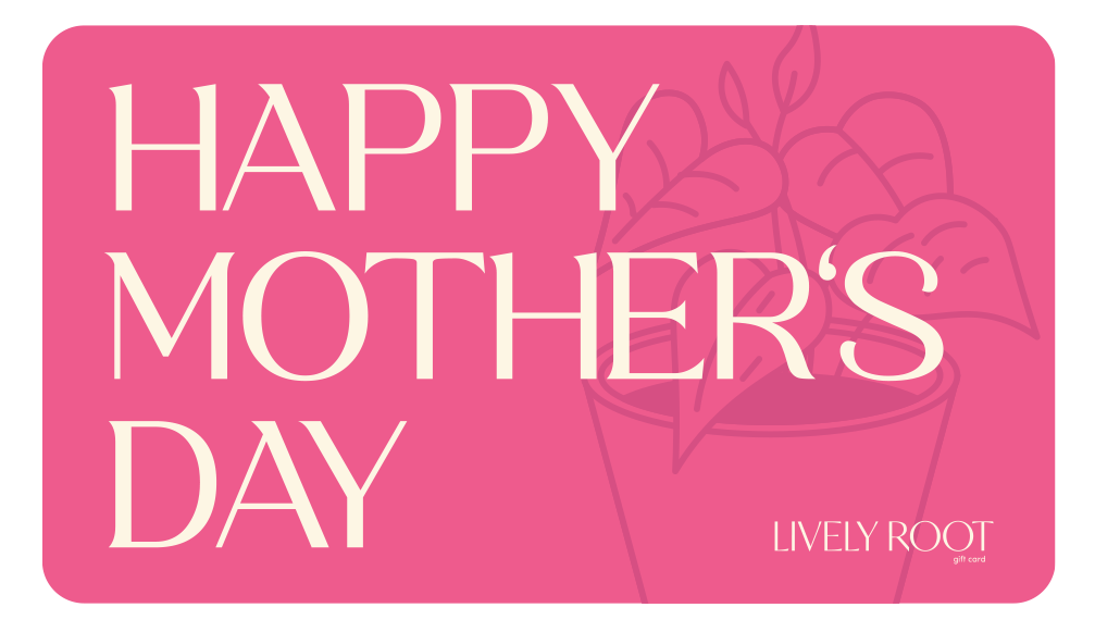 Lively Root Happy Mother's Day gift card featuring pink background with potted plant botanical illustration, perfect thoughtful gift for plant-loving moms and plant parent appreciation.
