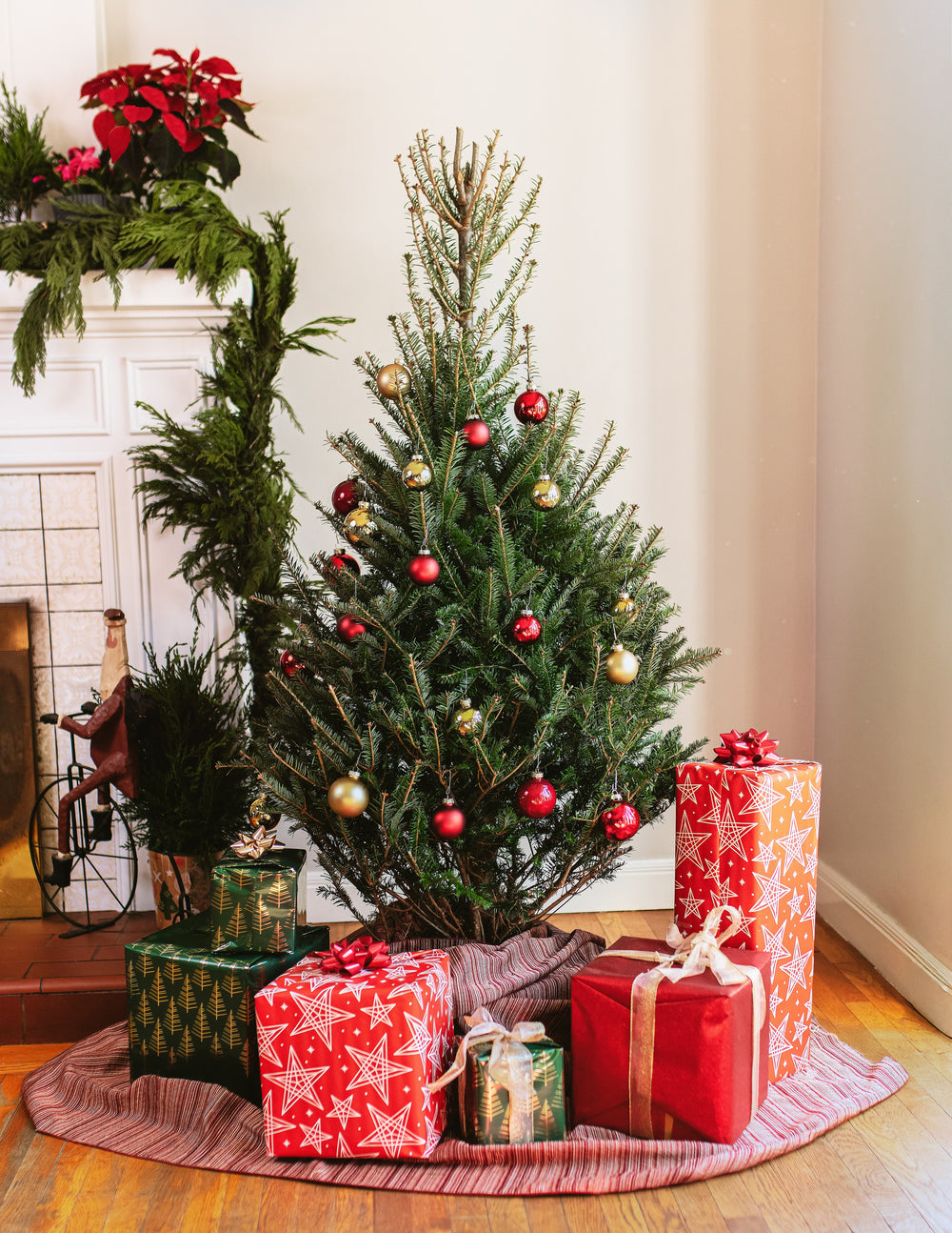 3ft Balsam Fir Christmas Tree