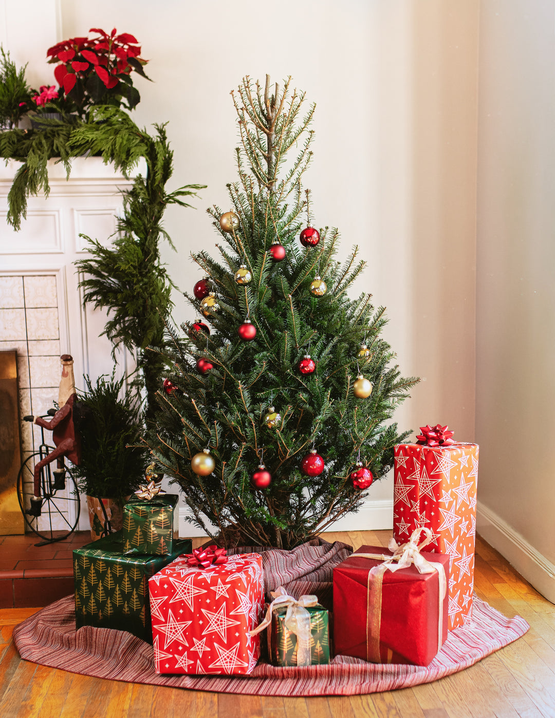 3ft Balsam Fir Christmas Tree
