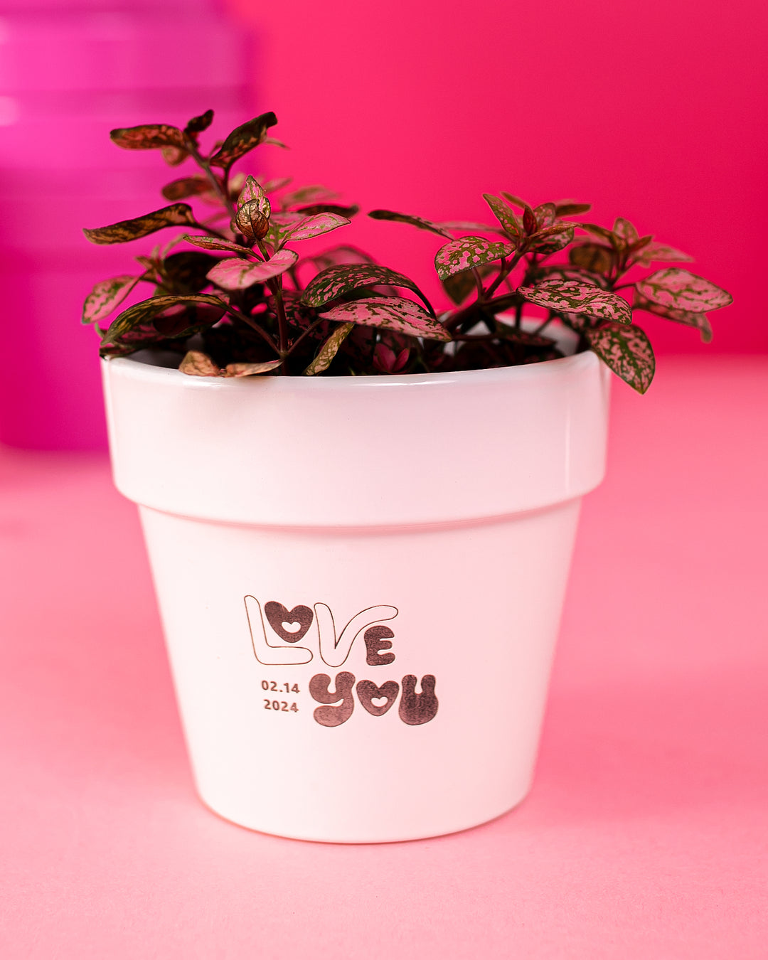 Custom Pot