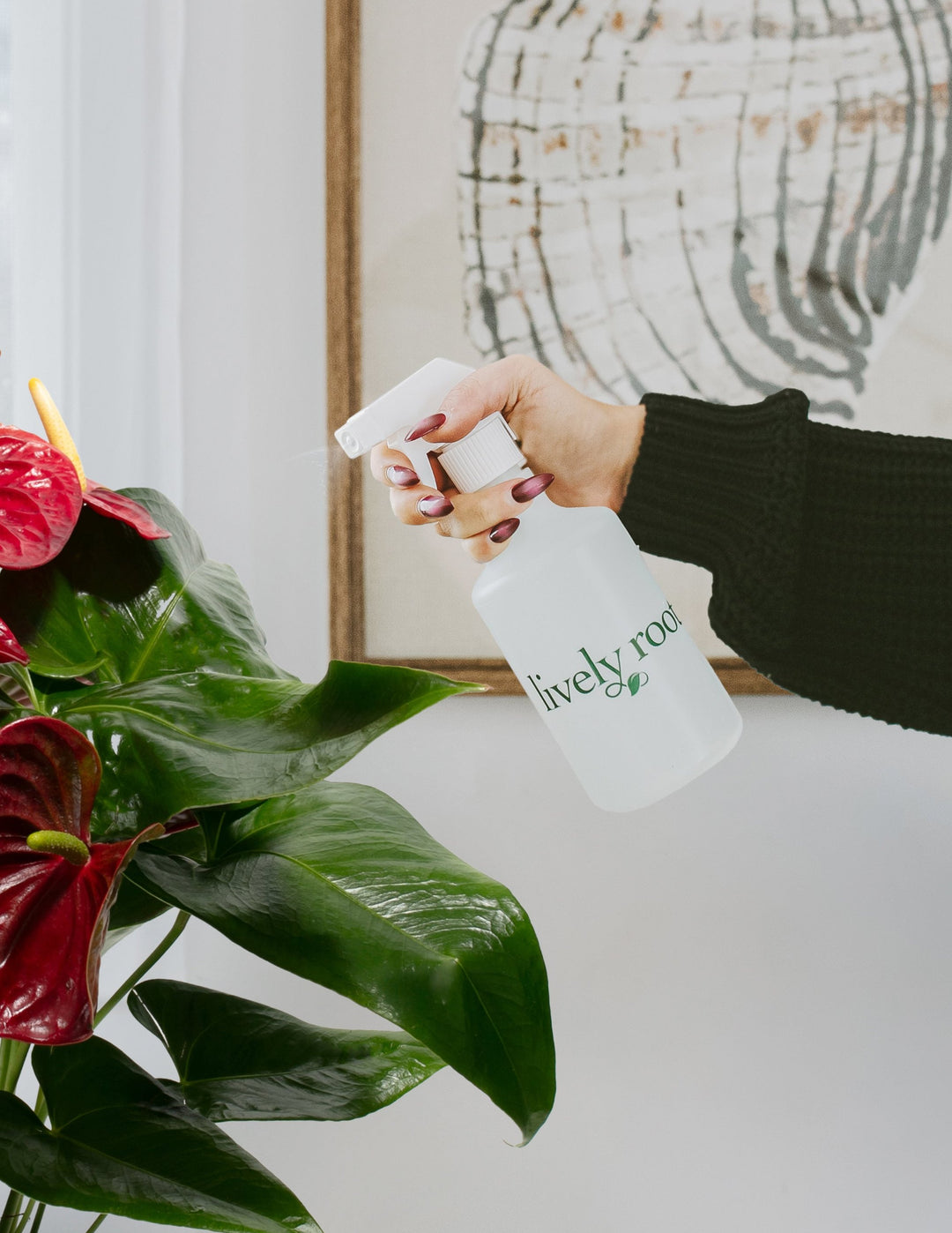 Lively Root plant spray bottle held near vibrant red anthurium flamingo flowers with glossy heart-shaped leaves, ideal for misting tropical houseplants and maintaining humidity for indoor plant care.