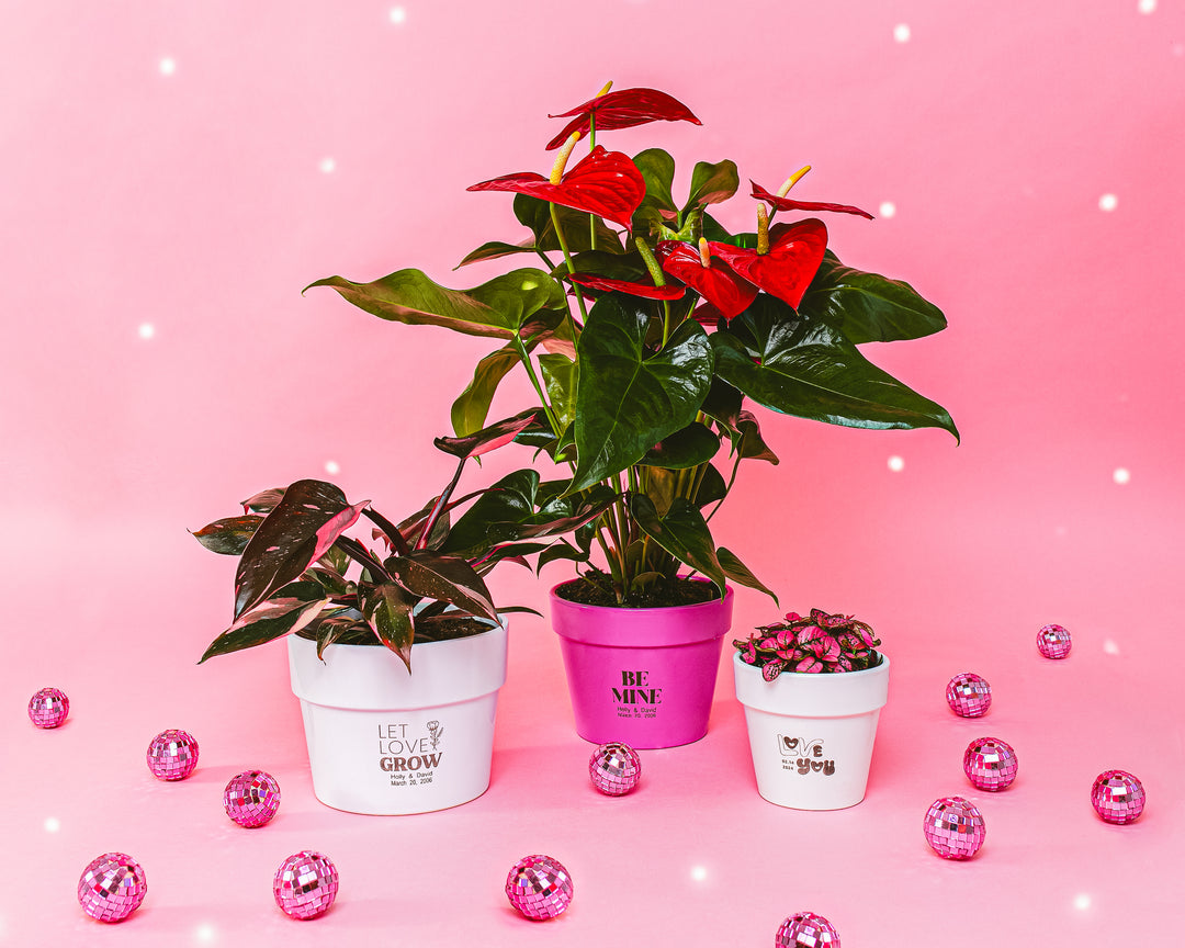 Custom Pot