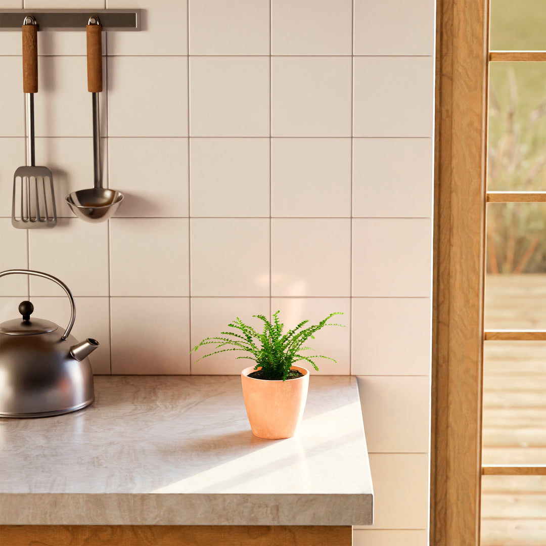 Lemon Button Fern (Nephrolepis cordifolia) in a terracotta pink eco pot with delicate arching bright green fronds on a stone kitchen countertop beside a stainless steel kettle with cream tile backsplash and wood-framed window in the background