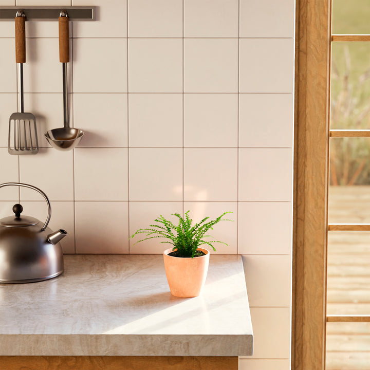 Lemon Button Fern (Nephrolepis cordifolia) in a terracotta pink eco pot with delicate arching bright green fronds on a stone kitchen countertop beside a stainless steel kettle with cream tile backsplash and wood-framed window in the background