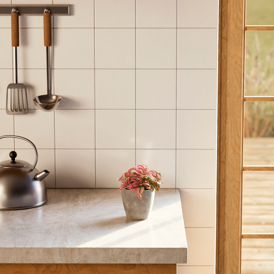 Pink Polka Dot Plant with variegated leaves in a speckled grey pot on a kitchen counter near hanging utensils.