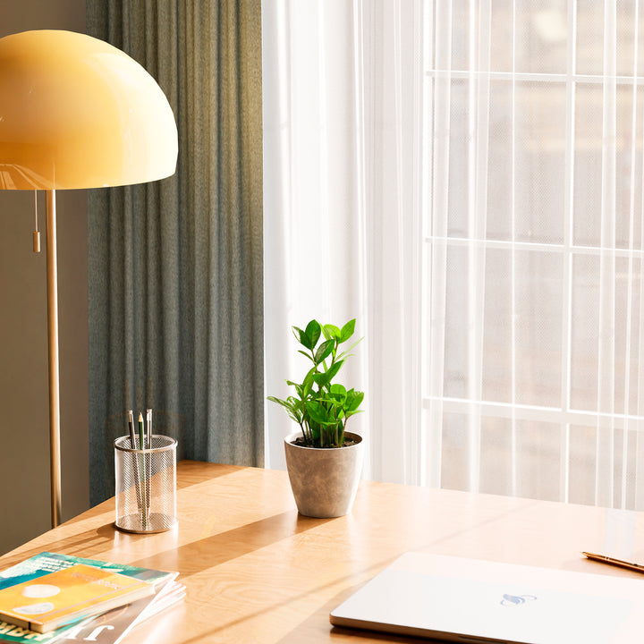 Small ZZ plant in a grey stone-textured pot on a wooden desk near a sunlit window with sheer curtains.