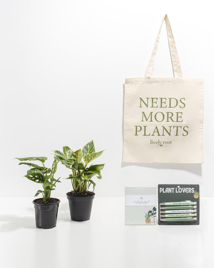 Study Buddy Care Package: Unique Plants