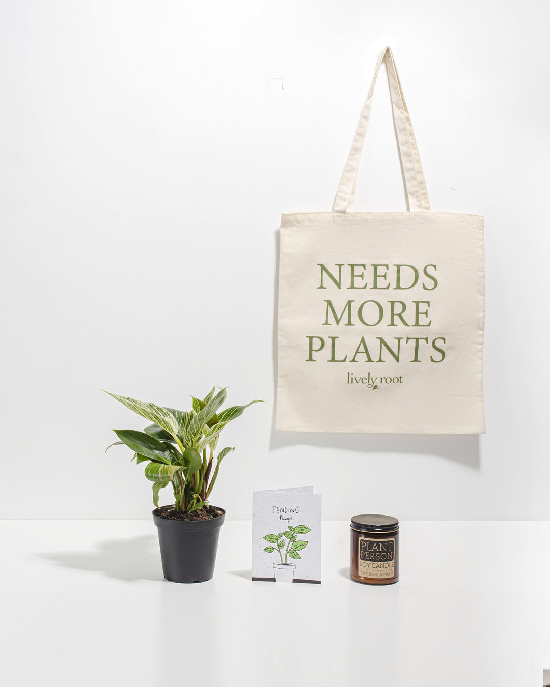 Nature & Nurture Care Package: Unique Plant