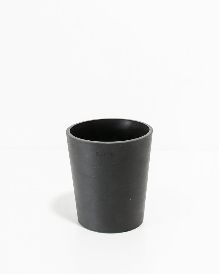 Orchid Ecopots®